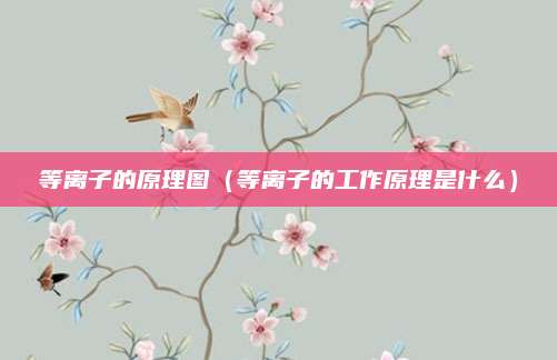 等离子的原理图（等离子的工作原理是什么）