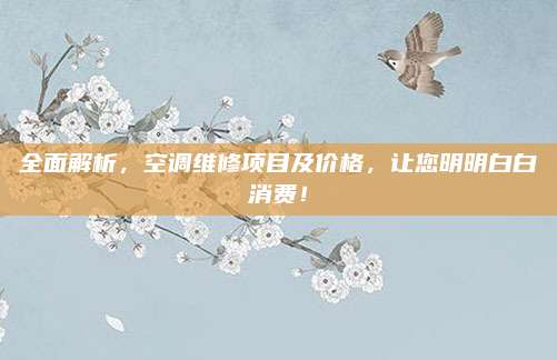 全面解析，空调维修项目及价格，让您明明白白消费！
