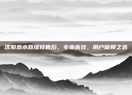 沈阳热水器维修售后，专业高效，用户信赖之选