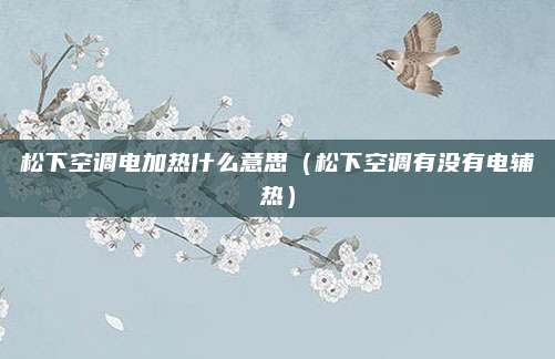 松下空调电加热什么意思（松下空调有没有电辅热）