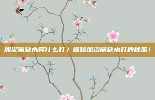 加湿器缺水亮什么灯？揭秘加湿器缺水灯的秘密！