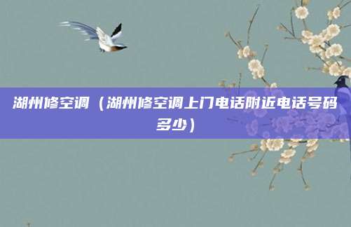 湖州修空调(湖州修空调上门电话附近电话号码多少)