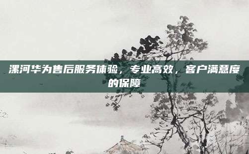 漯河华为售后服务体验，专业高效，客户满意度的保障