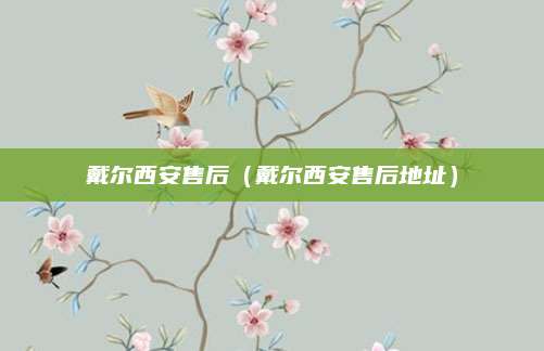 戴尔西安售后（戴尔西安售后地址）
