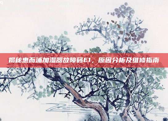 揭秘惠而浦加湿器故障码E1，原因分析及维修指南