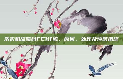 洗衣机故障码FC1详解，原因、处理及预防措施
