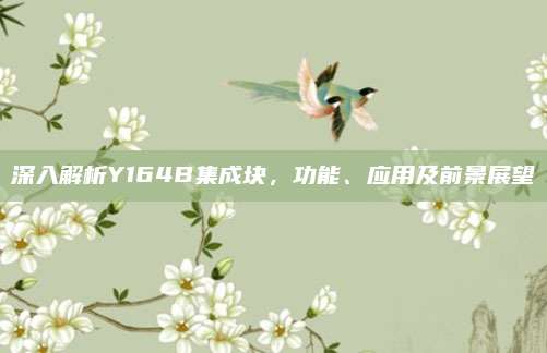 深入解析Y164B集成块，功能、应用及前景展望