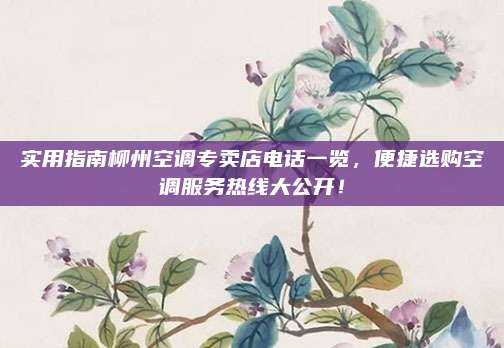 实用指南柳州空调专卖店电话一览,便捷选购空调服务热线大公开!