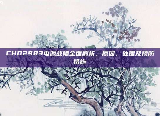 CHD2983电源故障全面解析,原因、处理及预防措施