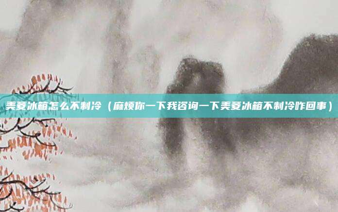 美菱冰箱怎么不制冷（麻烦你一下我咨询一下美菱冰箱不制冷咋回事）