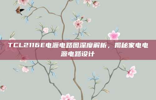 TCL2116E电源电路图深度解析，揭秘家电电源电路设计