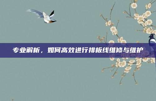 专业解析，如何高效进行排板线维修与维护