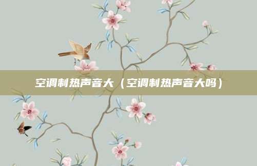 空调制热声音大(空调制热声音大吗)