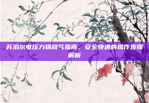 苏泊尔电压力锅放气指南,安全快速的操作步骤解析