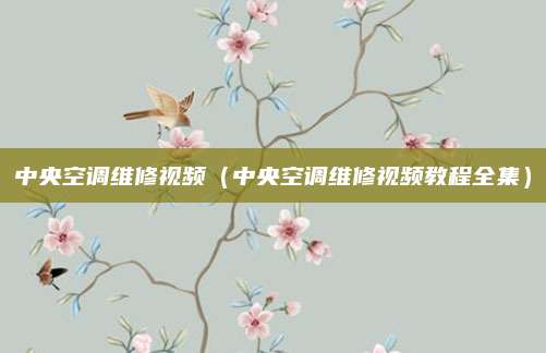中央空调维修视频（中央空调维修视频教程全集）