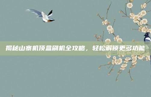 揭秘山寨机顶盒刷机全攻略，轻松解锁更多功能