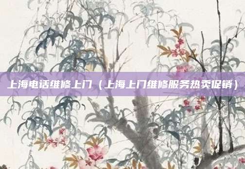 上海电话维修上门(上海上门维修服务热卖促销)