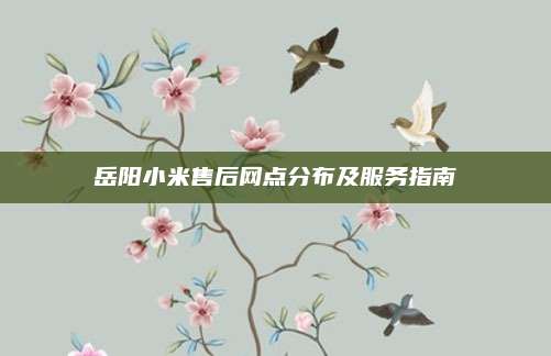 岳阳小米售后网点分布及服务指南