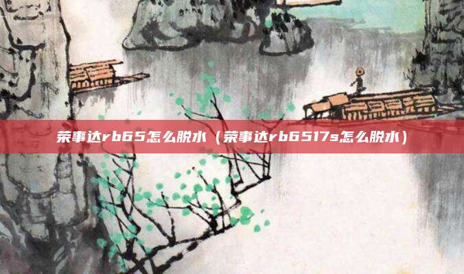 荣事达rb65怎么脱水（荣事达rb6517s怎么脱水）