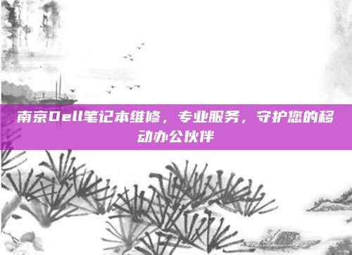 南京Dell笔记本维修,专业服务,守护您的移动办公伙伴
