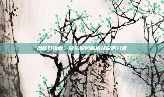 揭秘有批锋,背后原因解析及影响分析