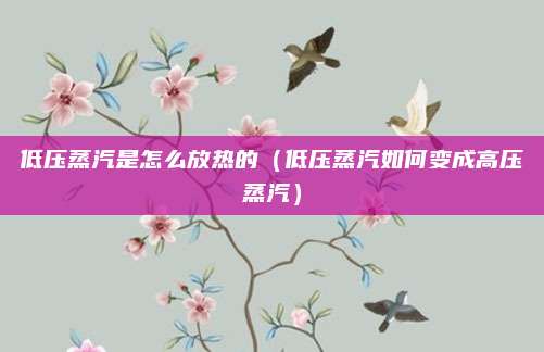 低压蒸汽是怎么放热的(低压蒸汽如何变成高压蒸汽)