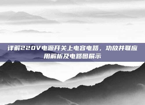 详解220V电源开关上电容电路，功放并联应用解析及电路图展示