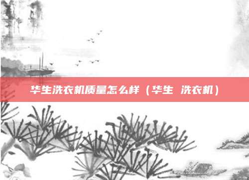 华生洗衣机质量怎么样(华生 洗衣机)