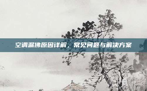 空调漏佛原因详解,常见问题与解决方案