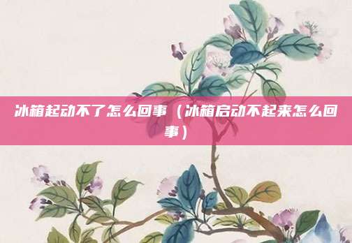 冰箱起动不了怎么回事(冰箱启动不起来怎么回事)