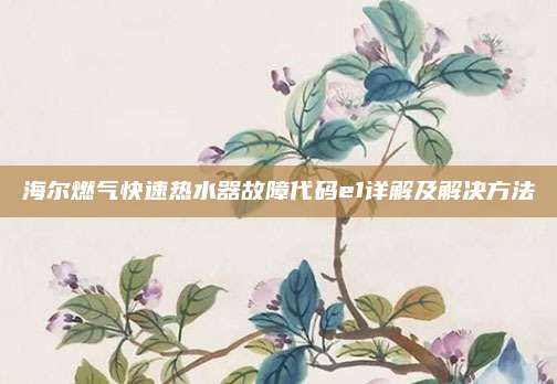 海尔燃气快速热水器故障代码e1详解及解决方法