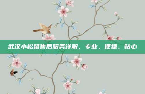 武汉小松鼠售后服务详解，专业、便捷、贴心