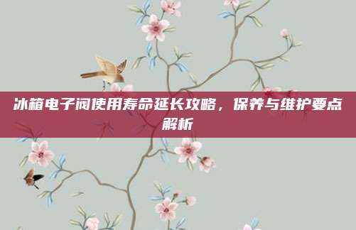 冰箱电子阀使用寿命延长攻略,保养与维护要点解析