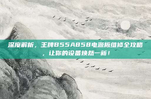深度解析，王牌B55A858电源板维修全攻略，让你的设备焕然一新！