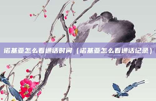 诺基亚怎么看通话时间(诺基亚怎么看通话记录)