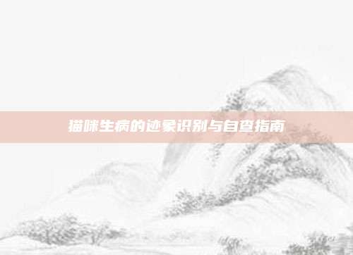 猫咪生病的迹象识别与自查指南