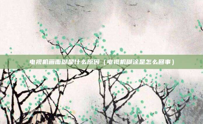 电视机画面糊是什么原因（电视机糊涂是怎么回事）