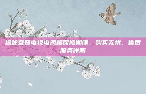 揭秘夏普电视电源板保修期限，购买无忧，售后服务详解