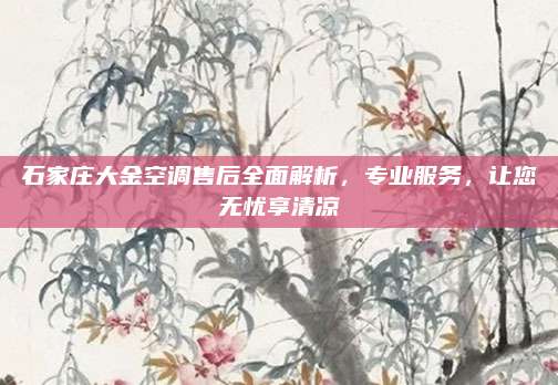 石家庄大金空调售后全面解析，专业服务，让您无忧享清凉
