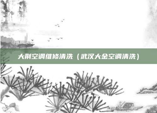 大荆空调维修清洗（武汉大金空调清洗）