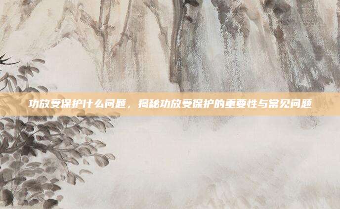 功放受保护什么问题,揭秘功放受保护的重要性与常见问题
