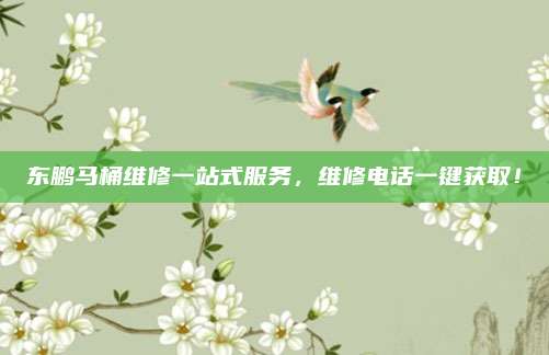 东鹏马桶维修一站式服务，维修电话一键获取！