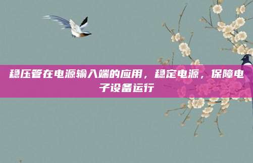 稳压管在电源输入端的应用，稳定电源，保障电子设备运行