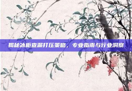 揭秘冰柜查漏打压策略，专业指南与行业洞察