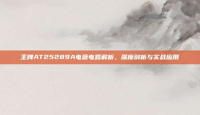王牌AT25289A电源电路解析，深度剖析与实战应用