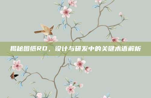 揭秘图纸RD,设计与研发中的关键术语解析