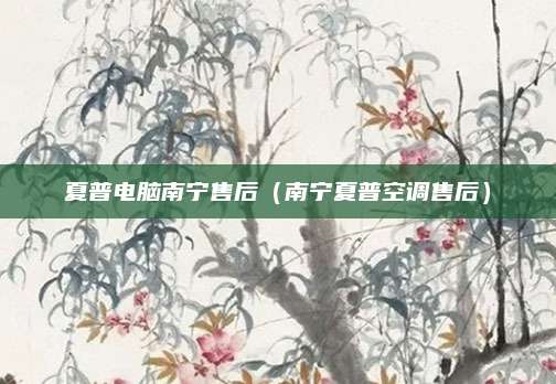 夏普电脑南宁售后（南宁夏普空调售后）