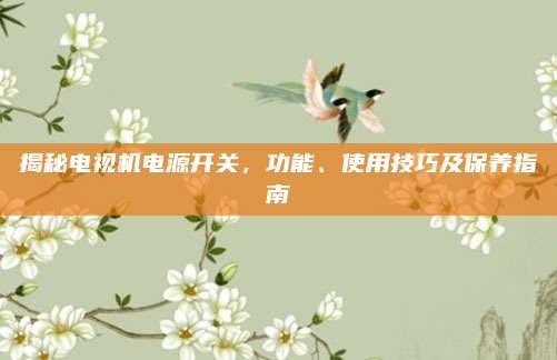 揭秘电视机电源开关，功能、使用技巧及保养指南