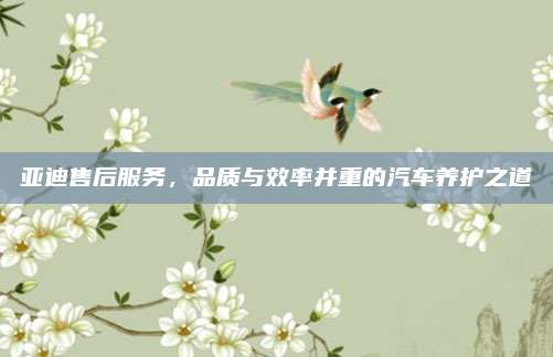 亚迪售后服务，品质与效率并重的汽车养护之道