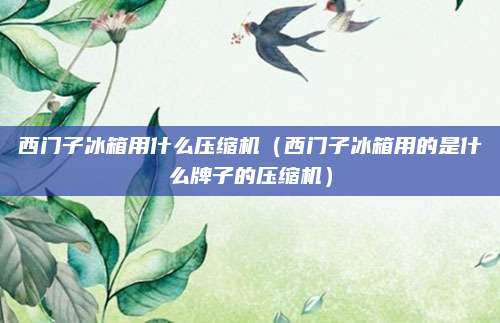 西门子冰箱用什么压缩机（西门子冰箱用的是什么牌子的压缩机）